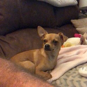 Meet your Posher, Timothy